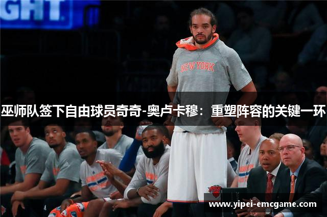 巫师队签下自由球员奇奇-奥卢卡穆：重塑阵容的关键一环