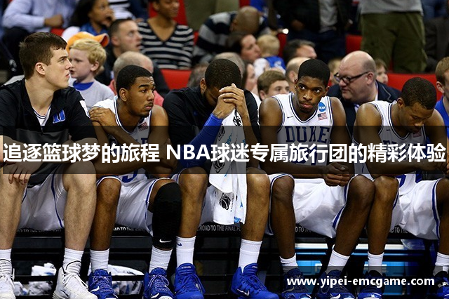 追逐篮球梦的旅程 NBA球迷专属旅行团的精彩体验
