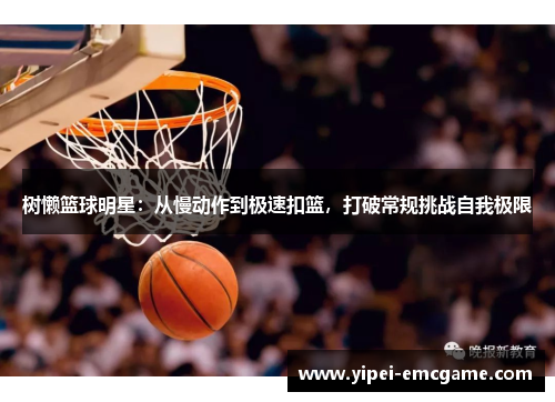 树懒篮球明星：从慢动作到极速扣篮，打破常规挑战自我极限